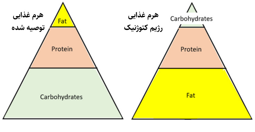 مقایسه رژیم غذایی کم کربوهیدرات و رژیم توصیه شده معمولی